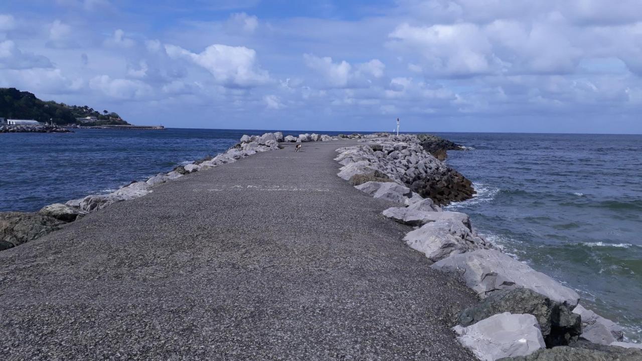 APPARTEMENT LES HIRONDELLES 2KM PLAGE-WiFI-JARDIN-PARKING-DRAPS ET SERVIETTES Hendaye Exterior foto